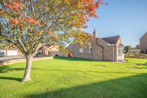 Side gardens- click for photo gallery